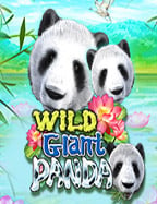 แนะนำพนัน วอ เลท กับเกมสล็อต Pragmatic Play สุดปัง